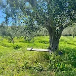 Podere Il Ritorno Appartamento Portoferraio
