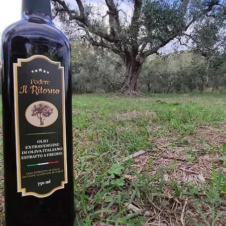 Podere Il Ritorno *