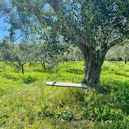 Podere Il Ritorno アパート ポルトフェッラーイオ