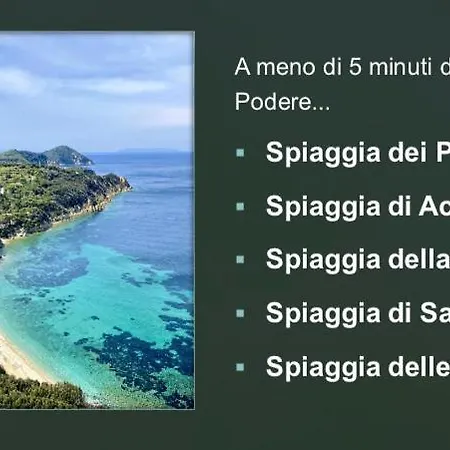 Lejlighed Podere Il Ritorno
