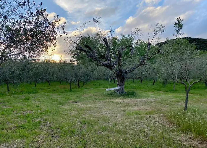 Podere Il Ritorno דירה